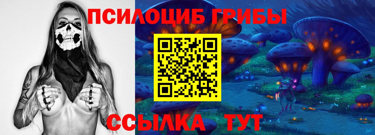 Галлюциногенные грибы Psilocybine cubensis Полысаево